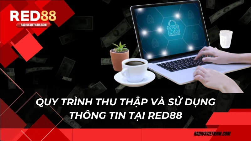 Quy trình thu thập và sử dụng thông tin tại Red88