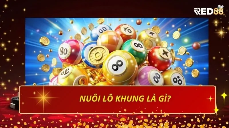 Nuôi lô khung là gì